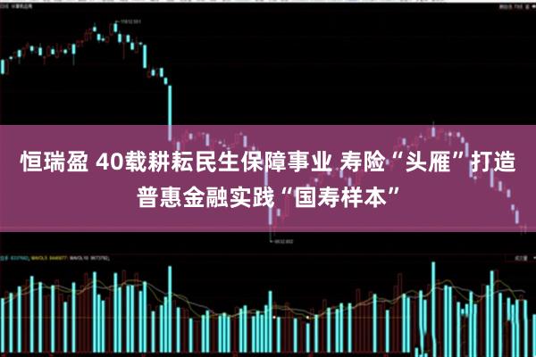 恒瑞盈 40载耕耘民生保障事业 寿险“头雁”打造普惠金融实践“国寿样本”