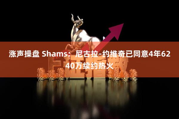 涨声操盘 Shams：尼古拉-约维奇已同意4年6240万续约热火