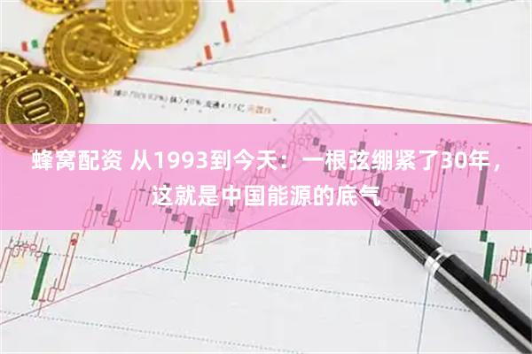 蜂窝配资 从1993到今天:一根弦绷紧了30年,这就是中国能源的底气
